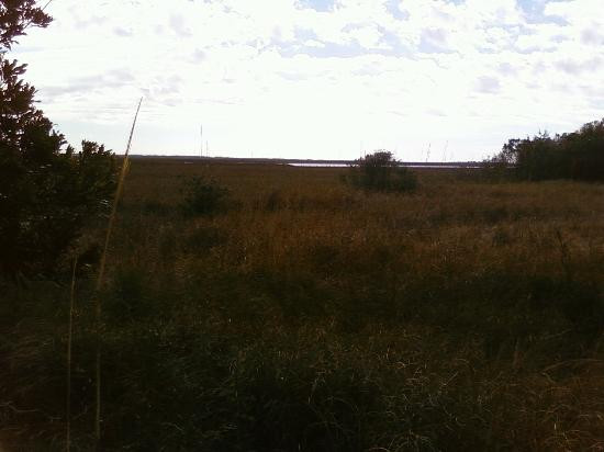 Fort Fisher State Recreation Area景点图片