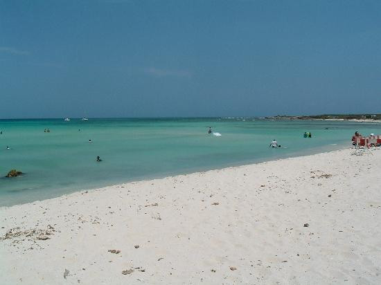 Arashi Beach-Arashi必去景点