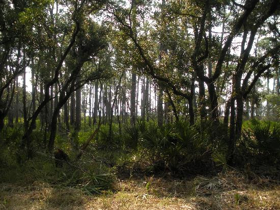 Bon Secour National Wildlife Refuge-格尔夫海岸必去景点