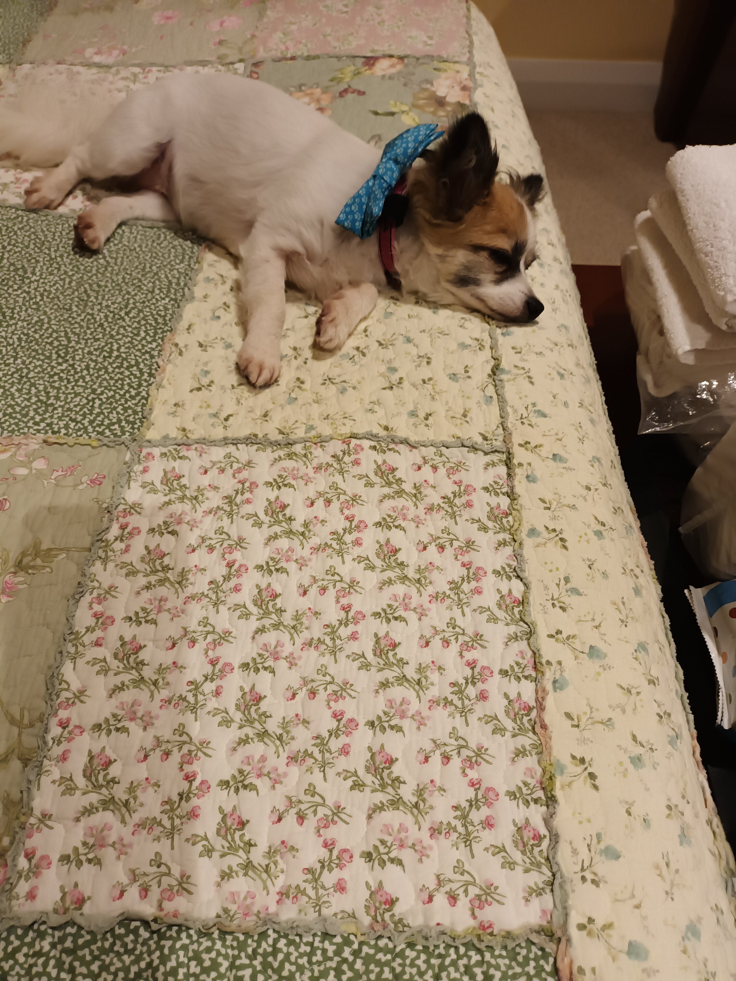 Bourke Bridge Inn-客卧