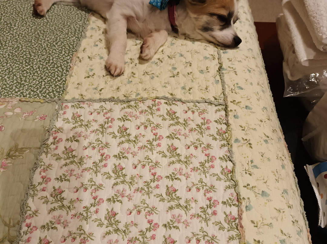 Bourke Bridge Inn主图