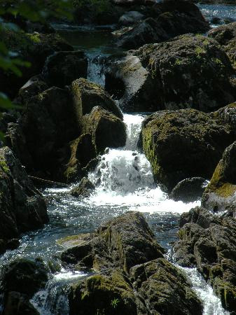 Swallow Falls景点图片