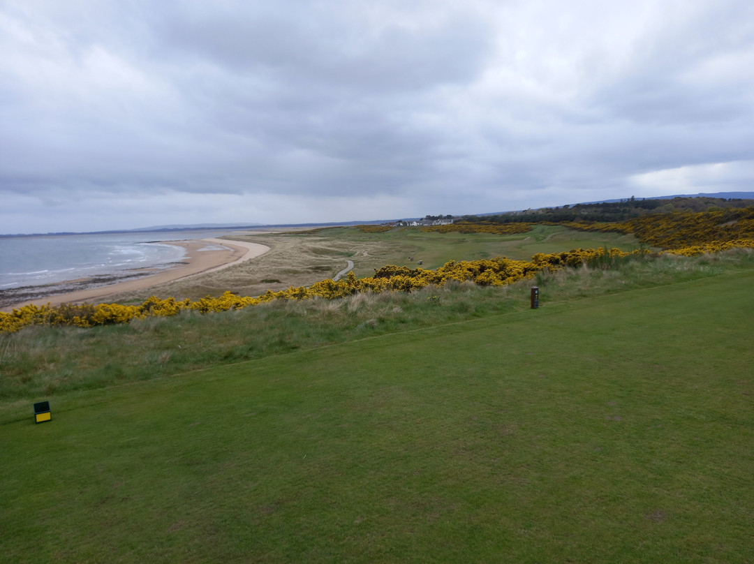 Royal Dornoch Golf Club景点图片