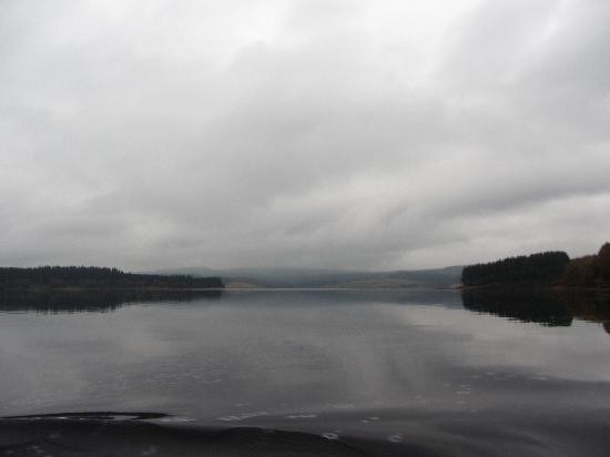 Kielder Forest-Kielder必去景点