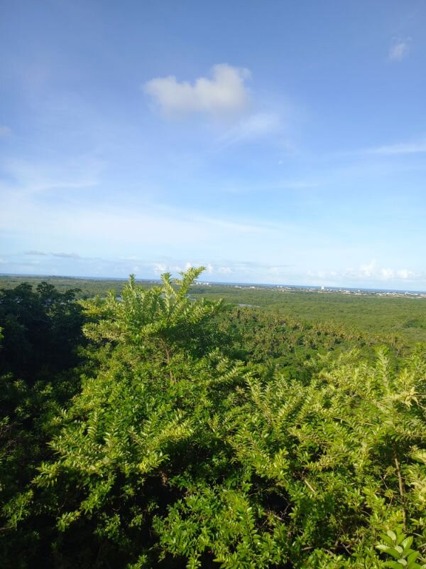 Ruinas Da Igreja De São Bento.-Abreu E Lima必去景点