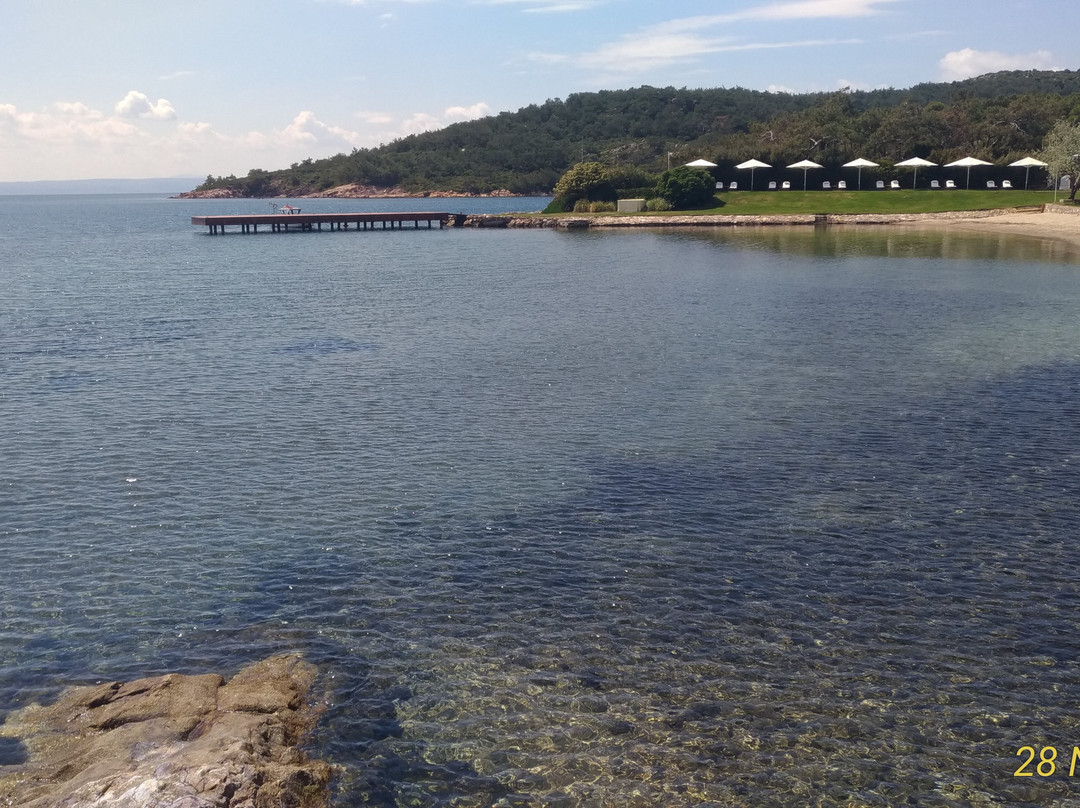Ortunç Koyu景点图片