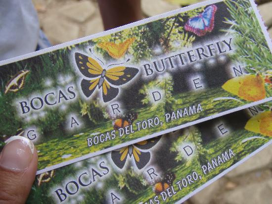 Bocas Butterfly Garden景点图片