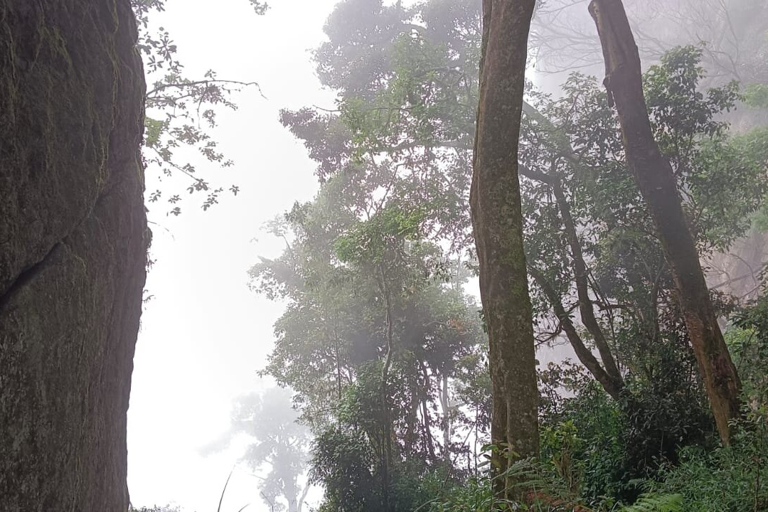 Guna Cave景点图片