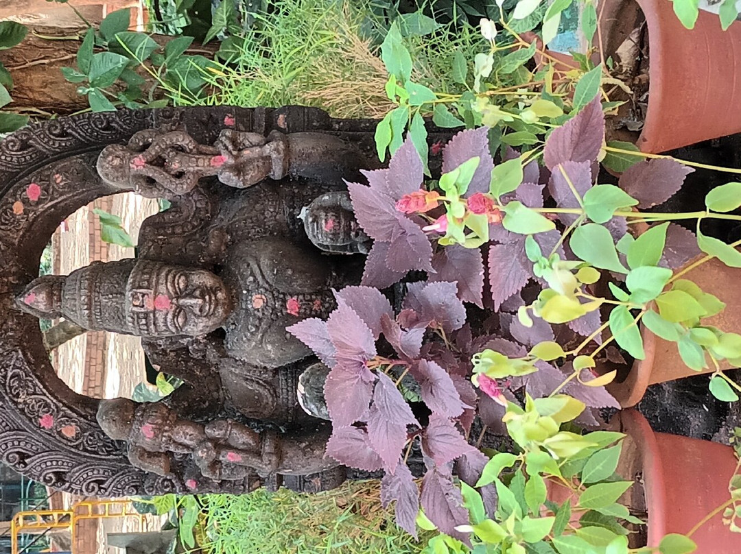 Karanji Lake-迈索尔必去景点