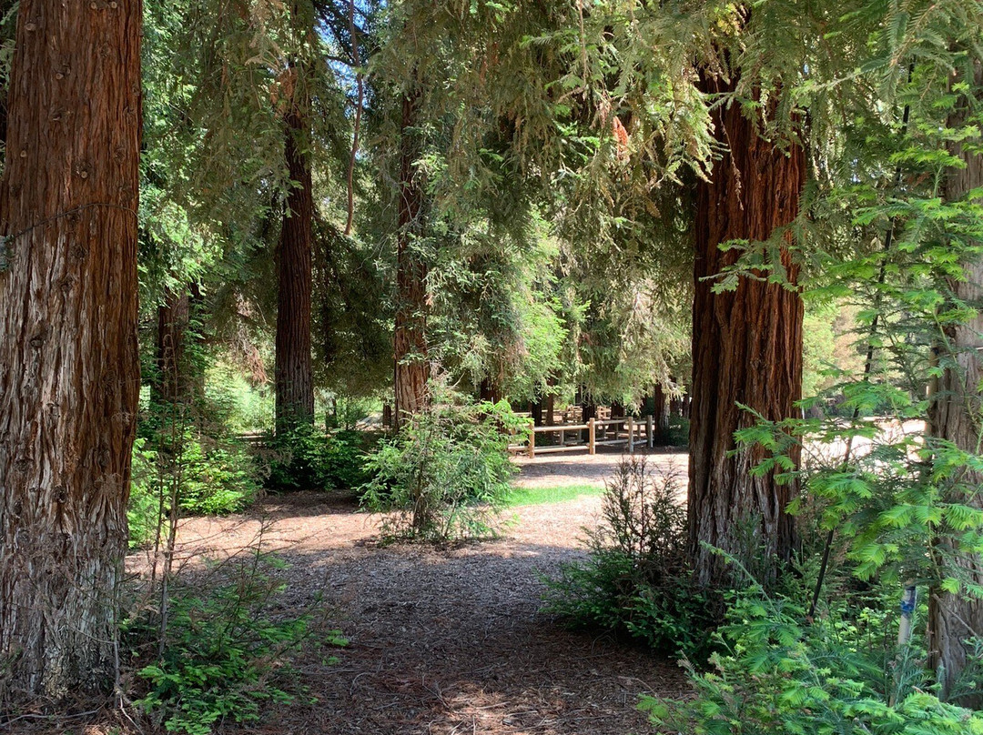 Carbon Canyon Regional Park-Brea必去景点