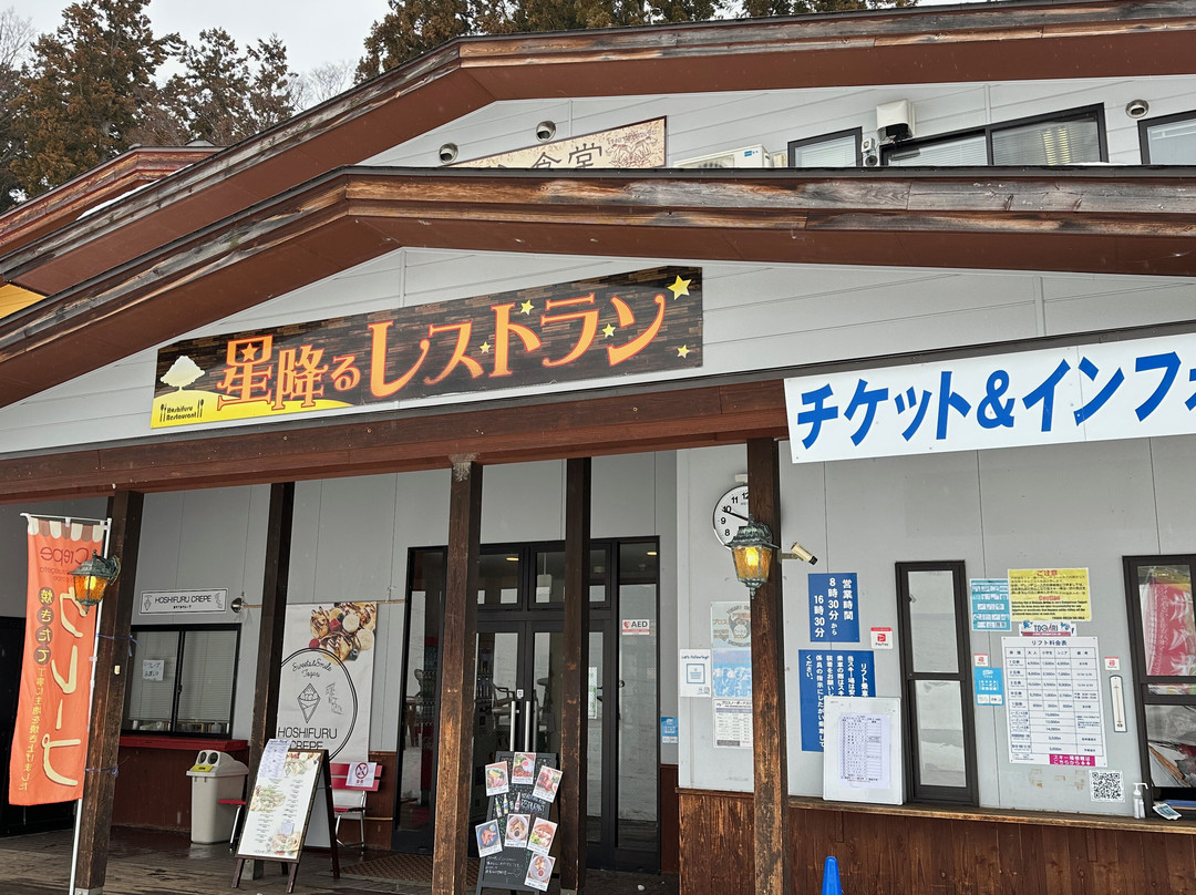 Togari Onsen Ski Resort-饭山市必去景点