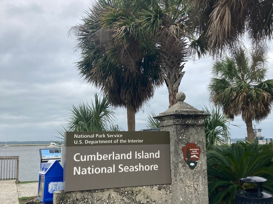 Cumberland Island National Seashore景点图片