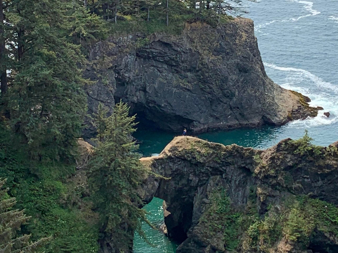 Natural Bridges Viewpoint-布鲁金斯必去景点