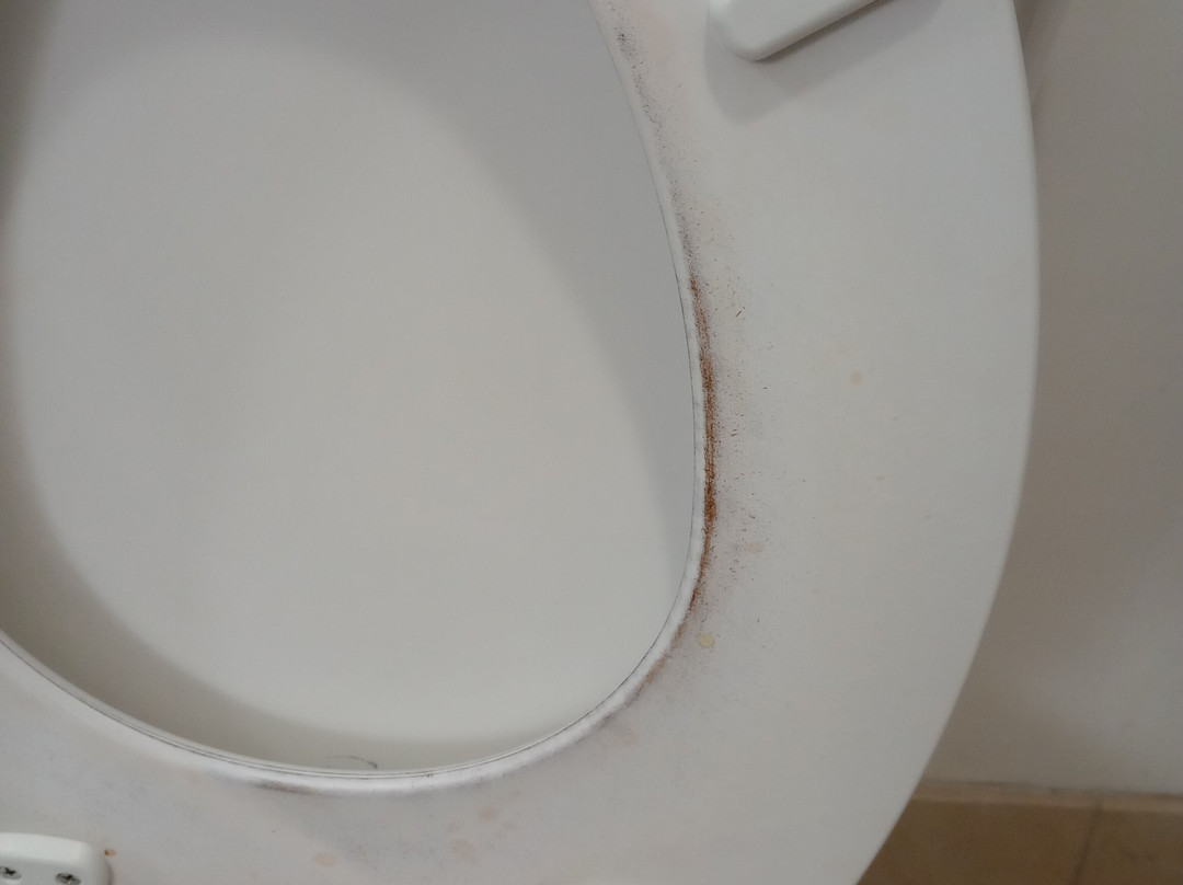 Country Inn & Suites by Radisson, Albany, GA主图