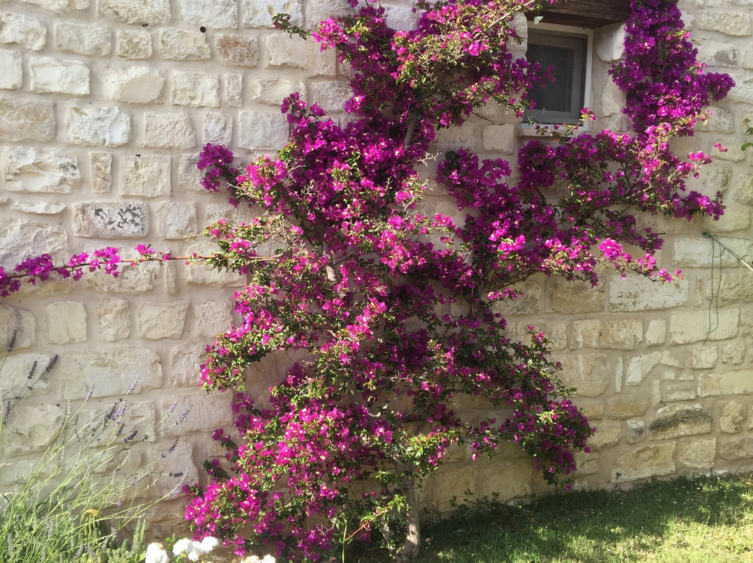 Relais Valcastagno主图