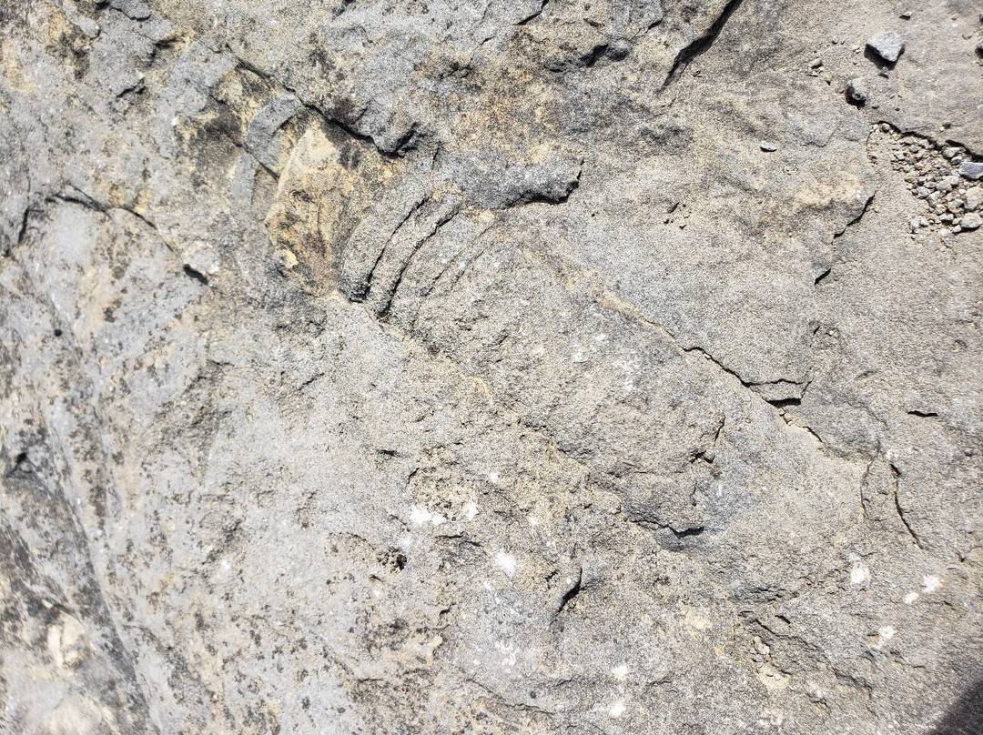 Goodsell Ridge Preserve景点图片