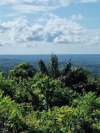 La Montagne des Singes-Kourou必去景点