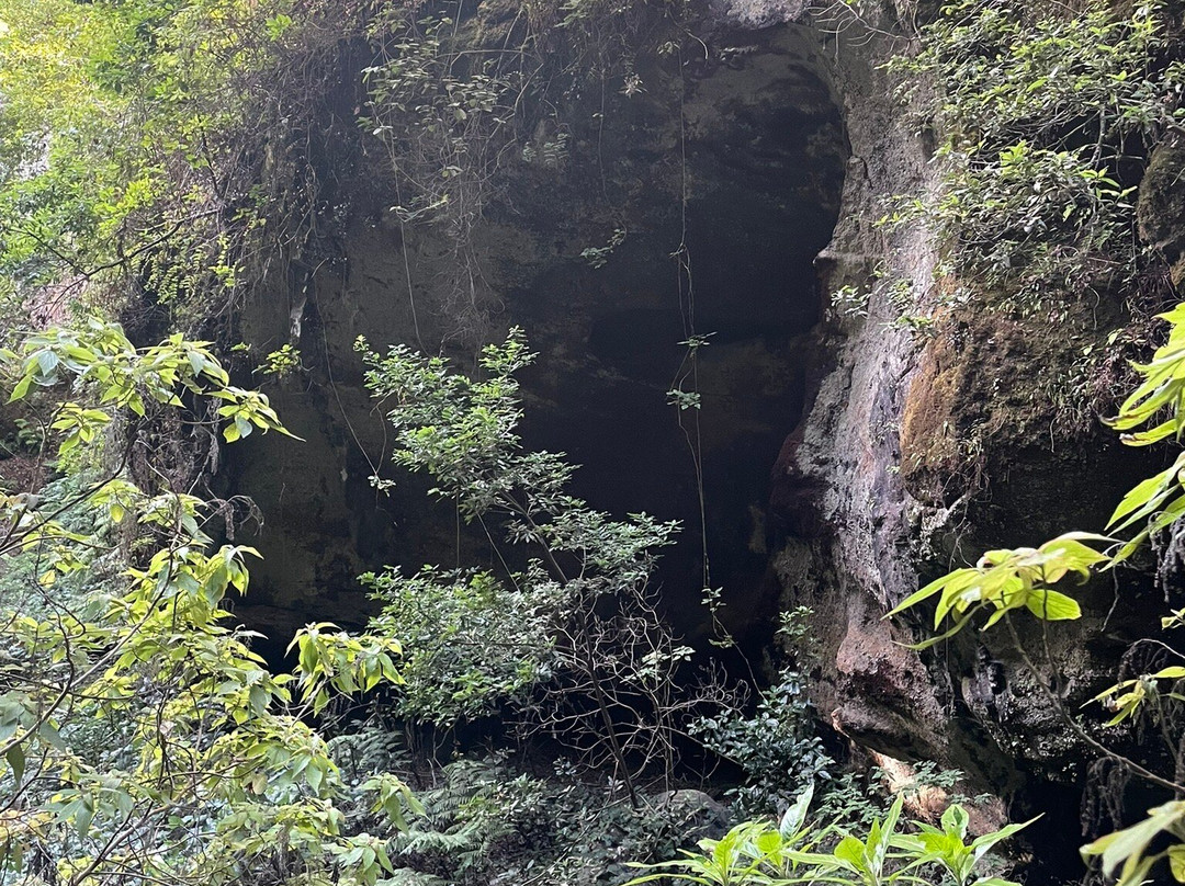 Cascada De los Tilos景点图片