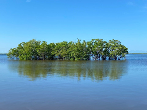 Everglades Florida Adventures-大沼泽地必去景点