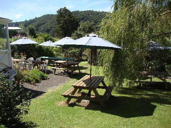 Milestone Tours-奥克兰中心地区必去景点