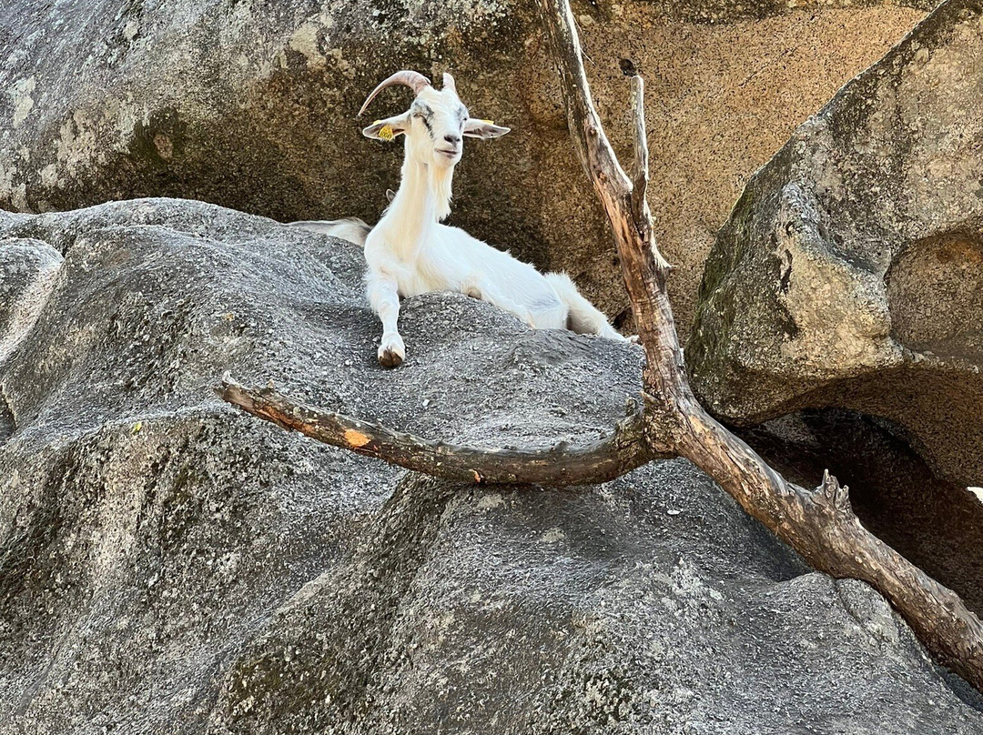 Parc Naturel D'Olva景点图片