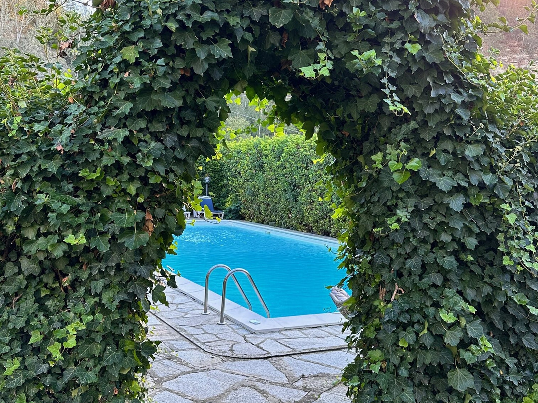 Villa San Carlo Hotel主图