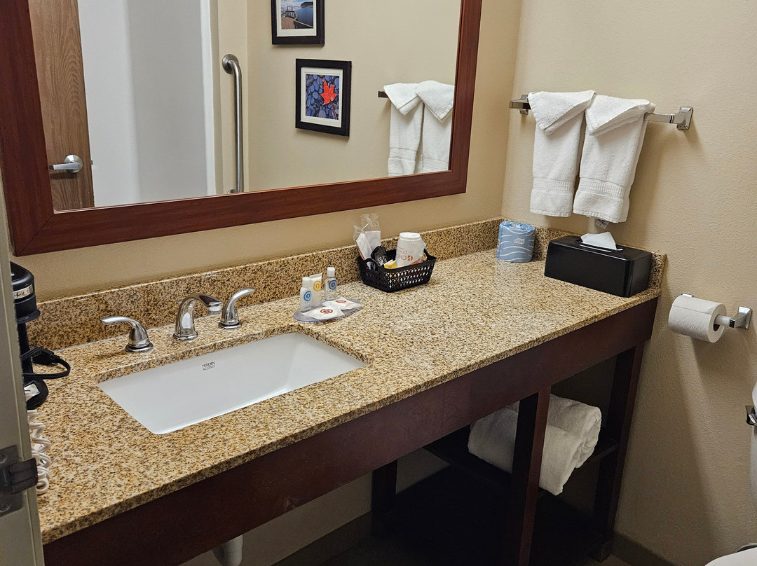 Comfort Inn Auburn - Seattle主图