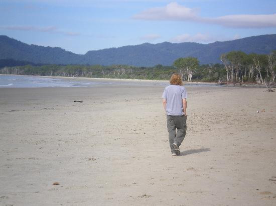 Daintree Wonder Tours-道格拉斯港必去景点