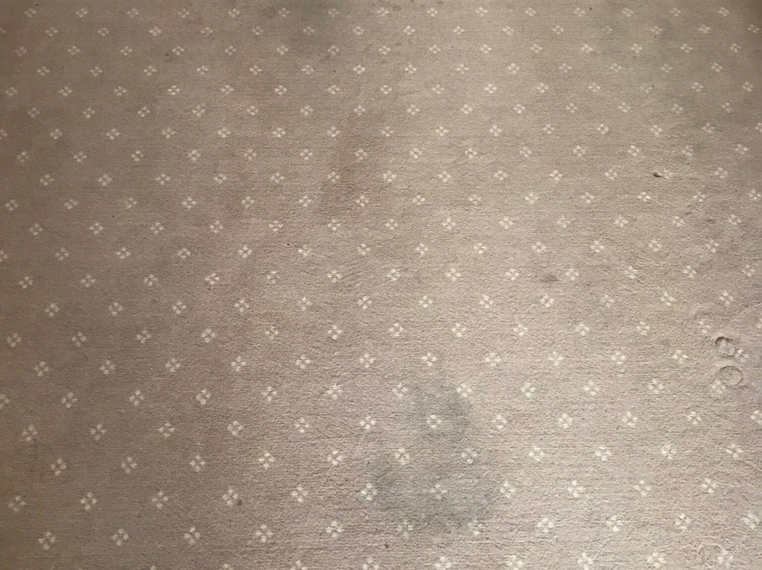 Karpatsky Zori Hotel主图