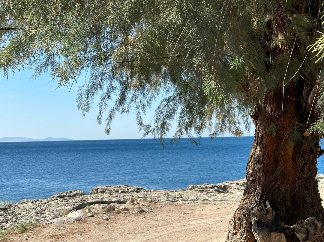 Doryssa Theorem Hotel主图