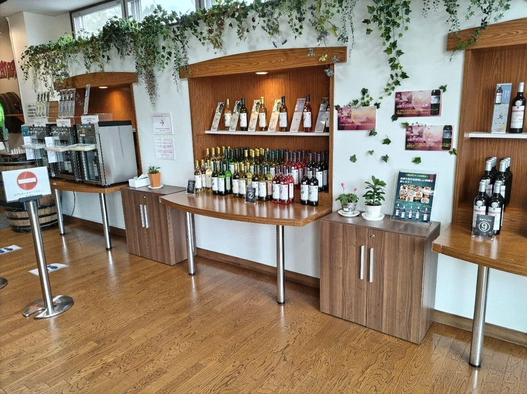 Asahimachi Wine景点图片