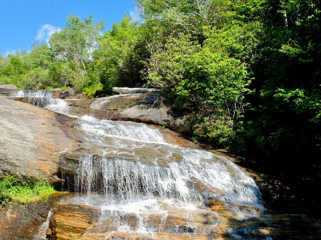 Pisgah National Forest景点图片