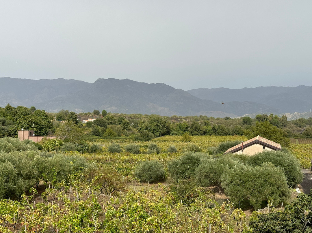 Tenuta di Fessina景点图片