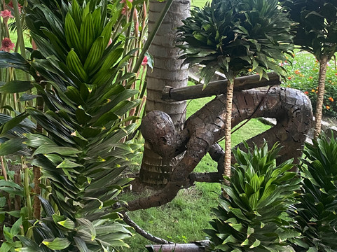 Ryan's Bay Hotel主图