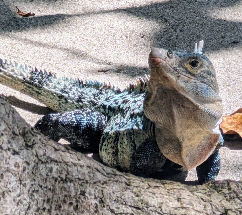 Imiloa Institute主图