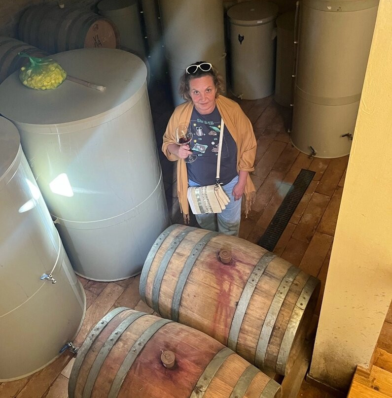 Vinarium-Banostor必去景点