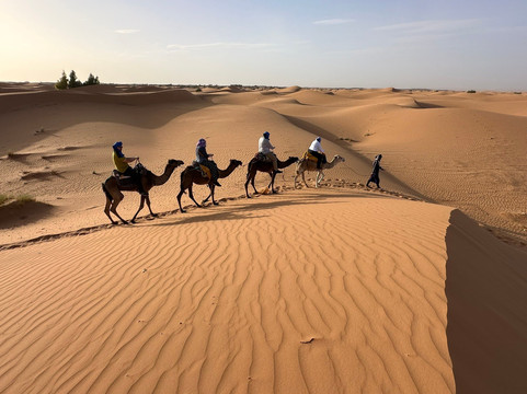 Moroccan Food Tour-马拉喀什必去景点