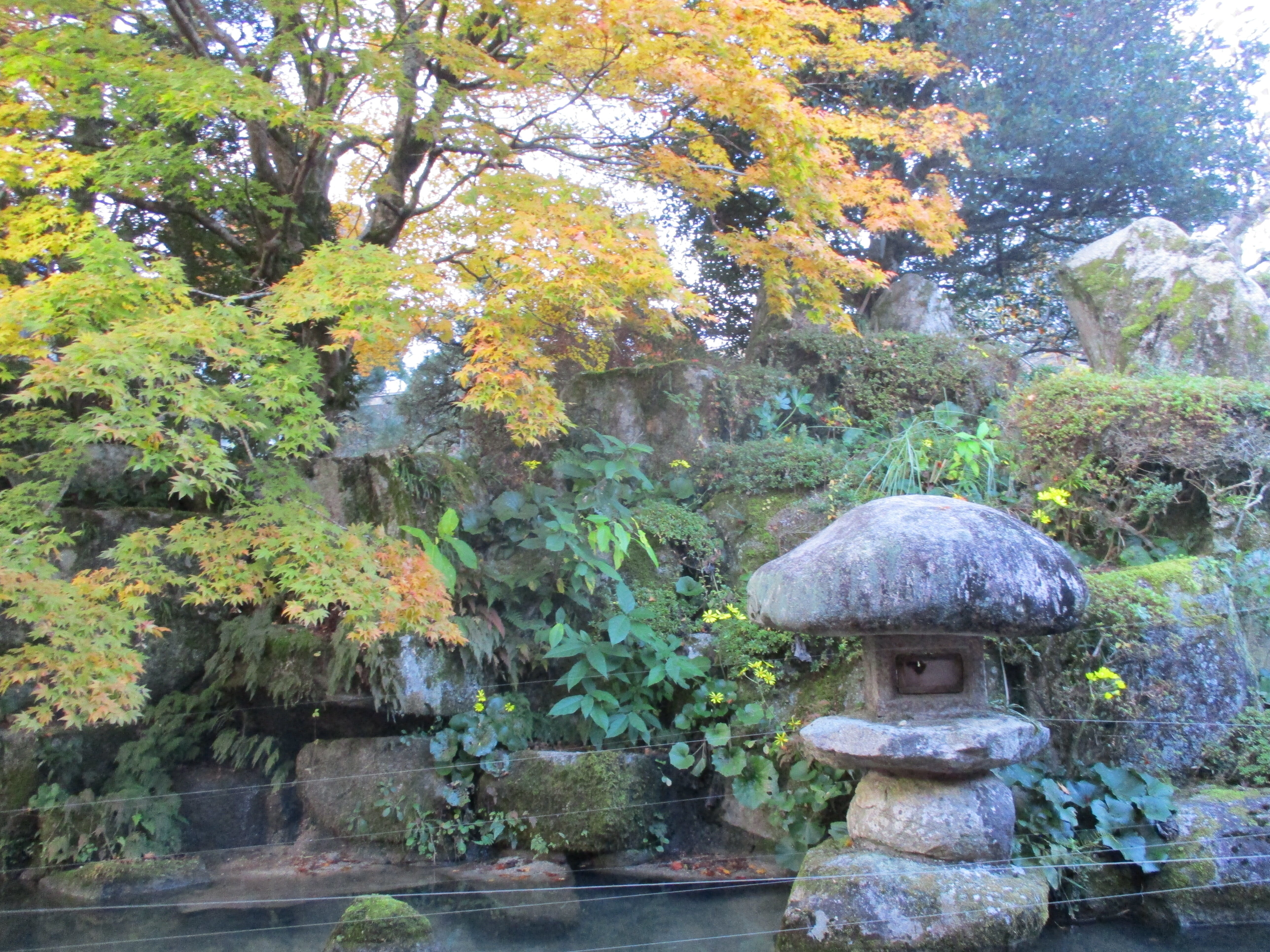 Shisuien-官方