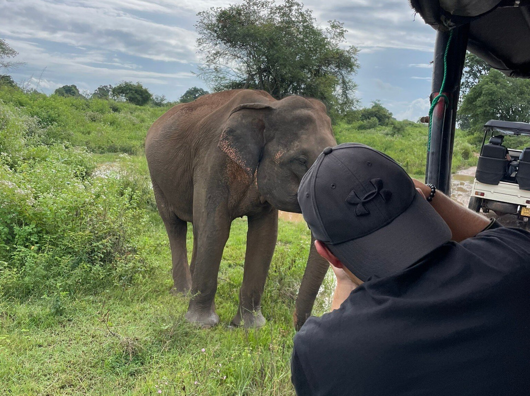 Udawalawe Wild Safari Tours-乌达瓦拉瓦必去景点