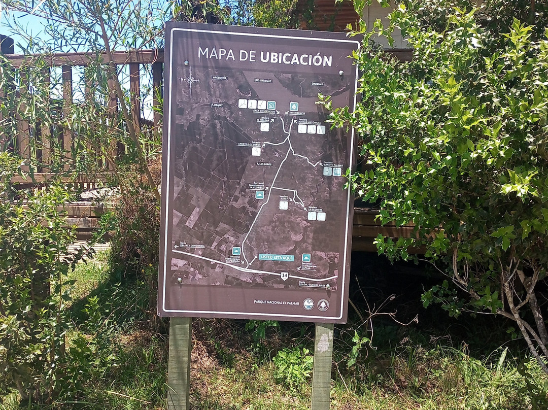 Parque Nacional El Palmar景点图片