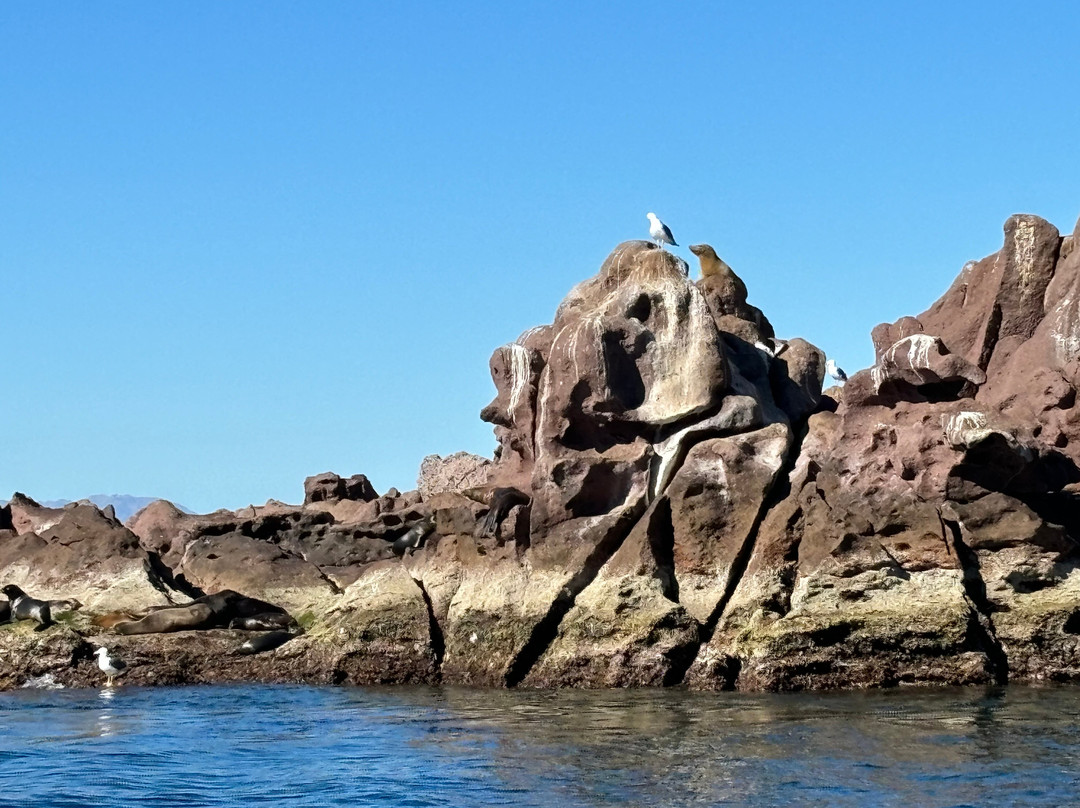 Alonso Tours-拉巴斯必去景点