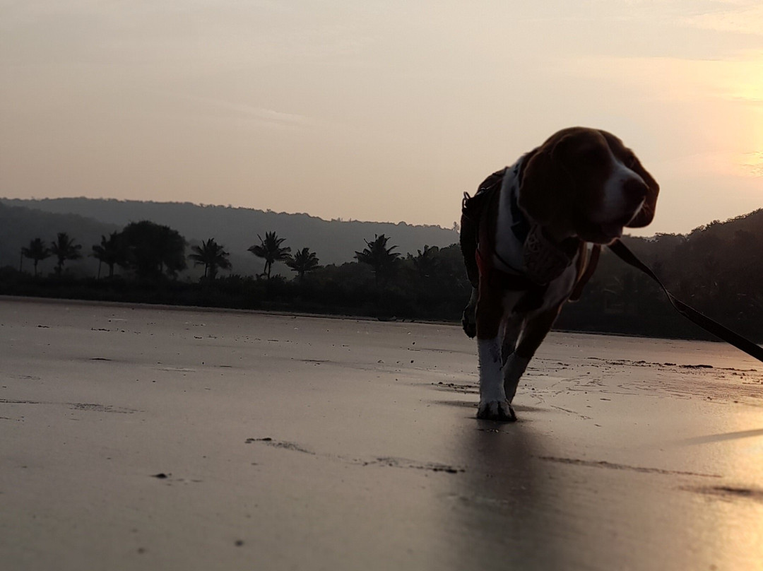 Whistling Waves Beach Resort & Camping主图