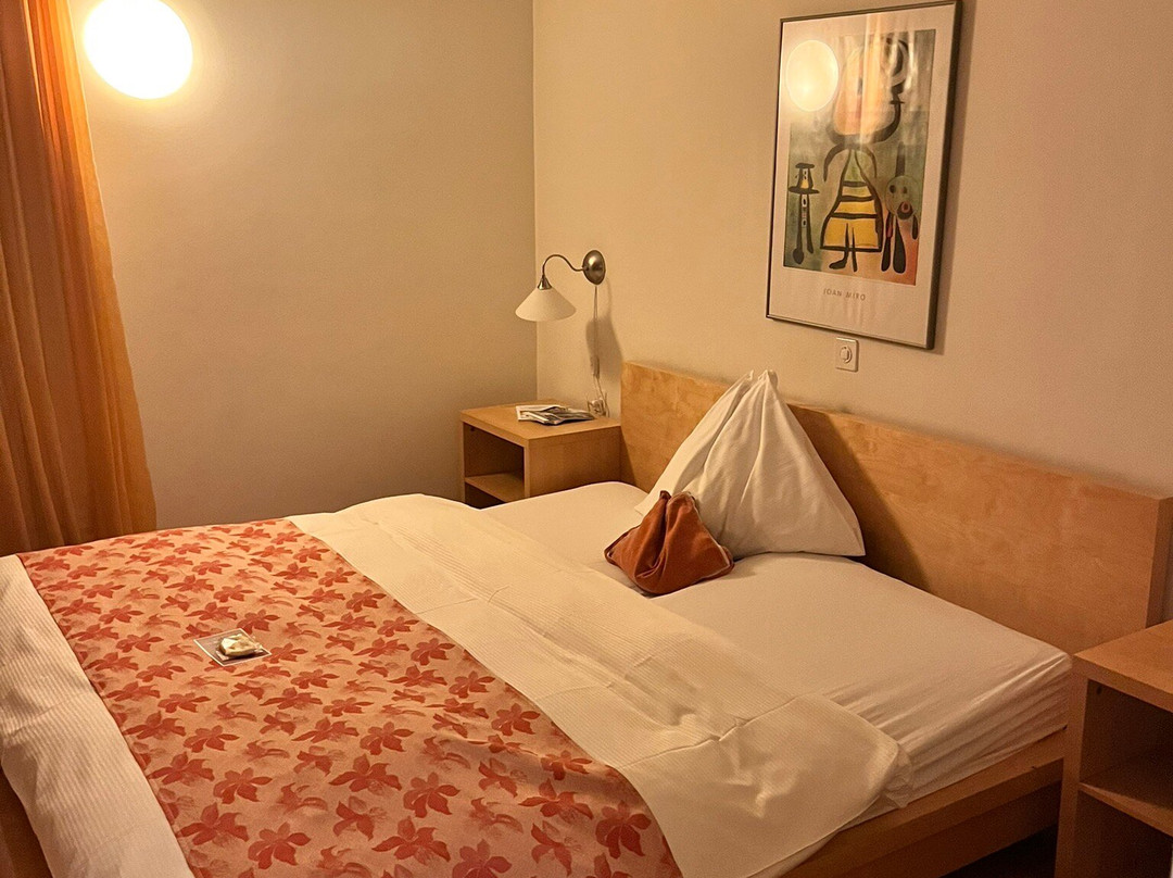 Hotel Palazzo Mÿsanus主图