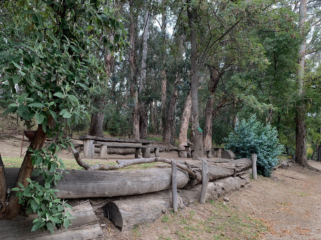 Ex-Hacienda de Chautla景点图片
