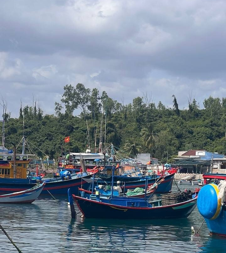Vietnam Fantastic-Cam Ranh必去景点
