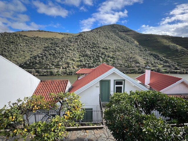 Quinta de la Rosa主图