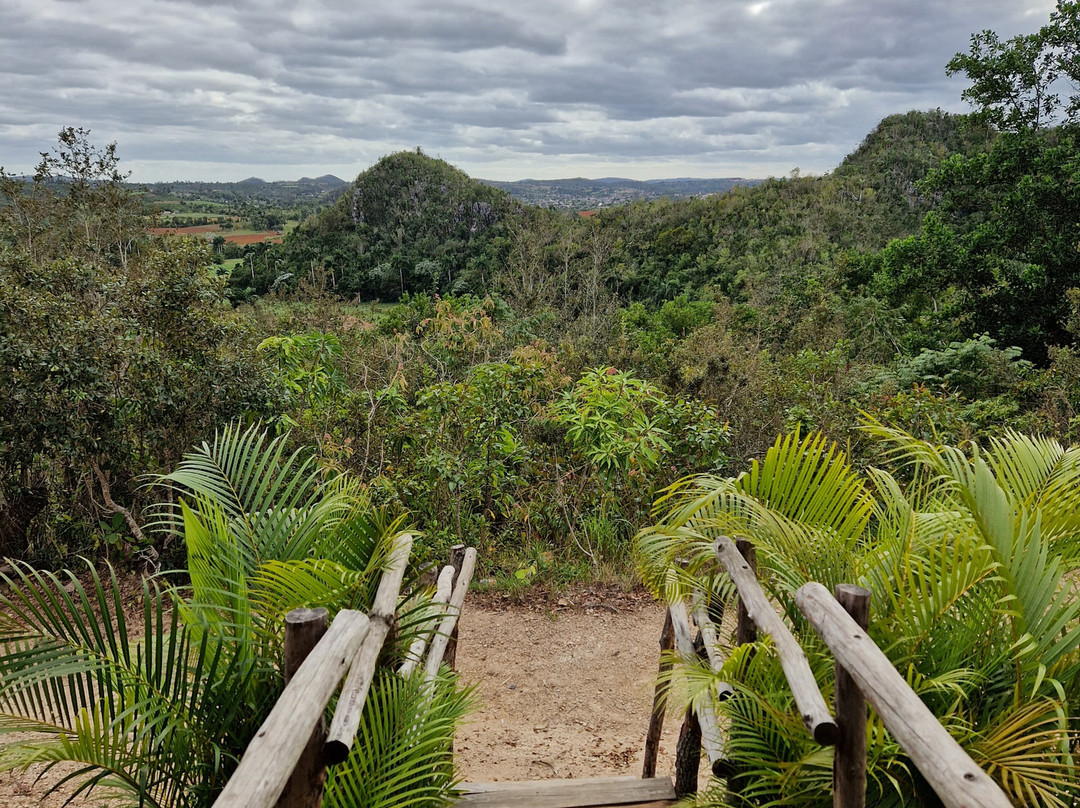 Viñales Excursions景点图片