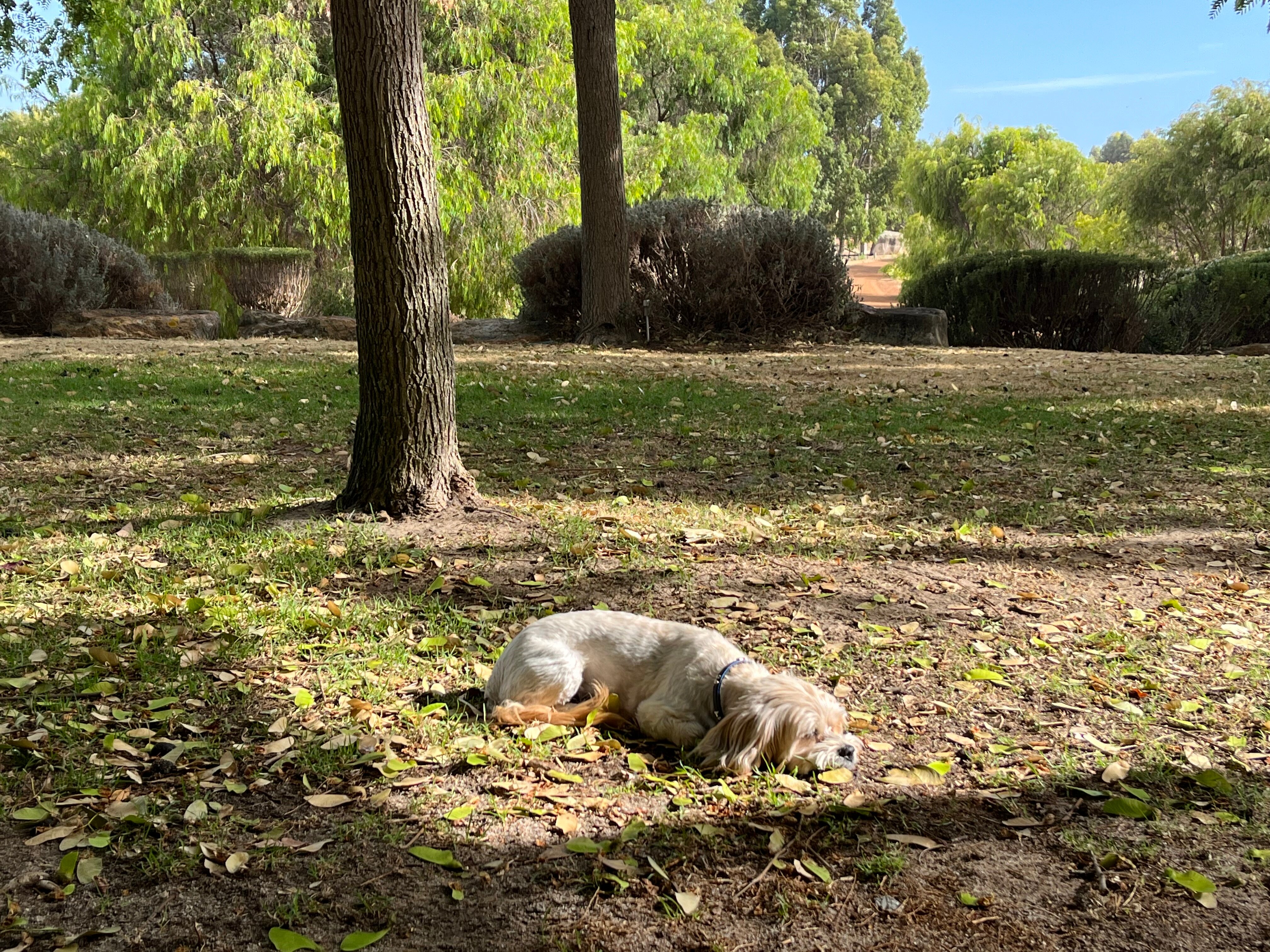 Petra Olive Oil Estate Dog-friendly Luxury Farmstay Accommodation-浴室