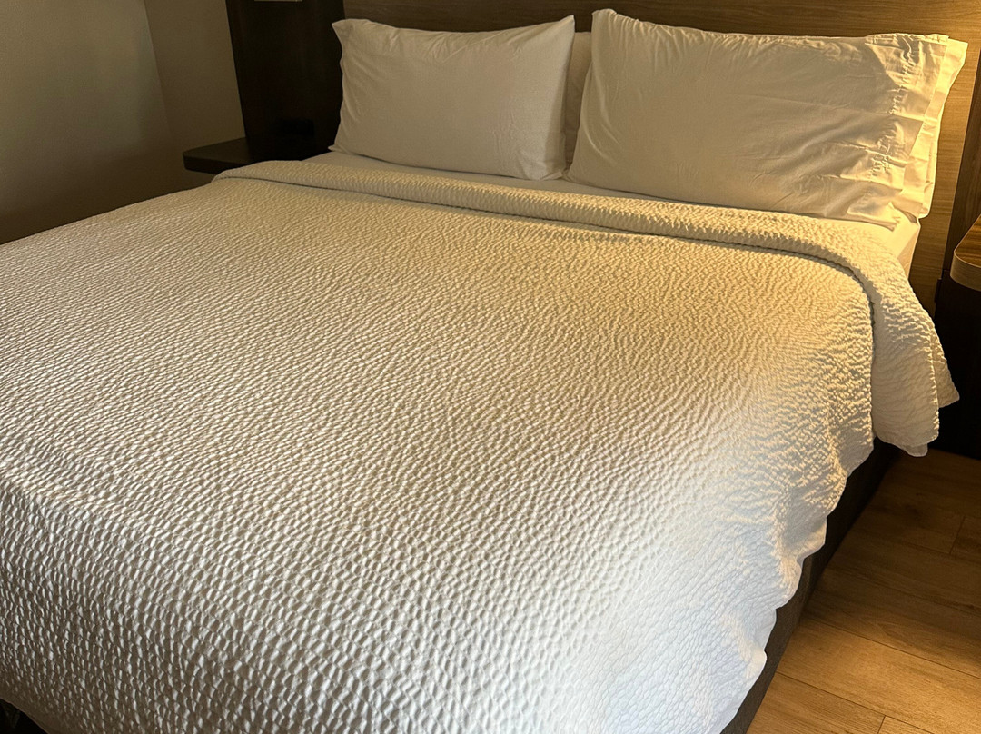 可可海滩智选假日套房酒店主图