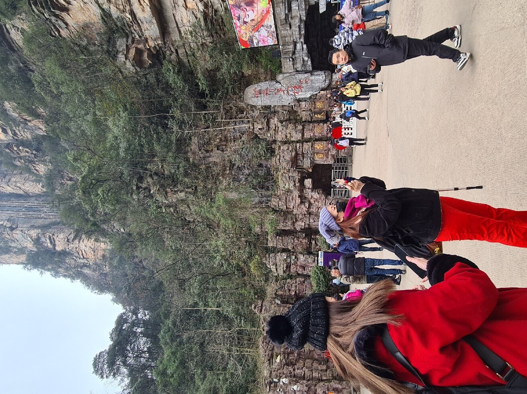 百龙观光电梯-张家界市必去景点